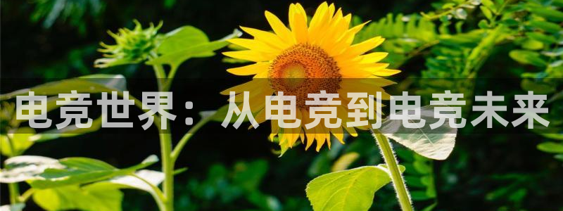 南宫电竞登陆：电竞世界：从电竞到电竞未来
