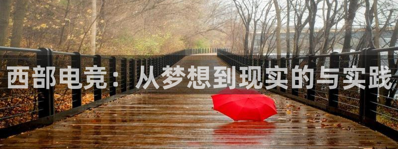 南宫电竞贴吧：西部电竞：从梦想到现实的与实践
